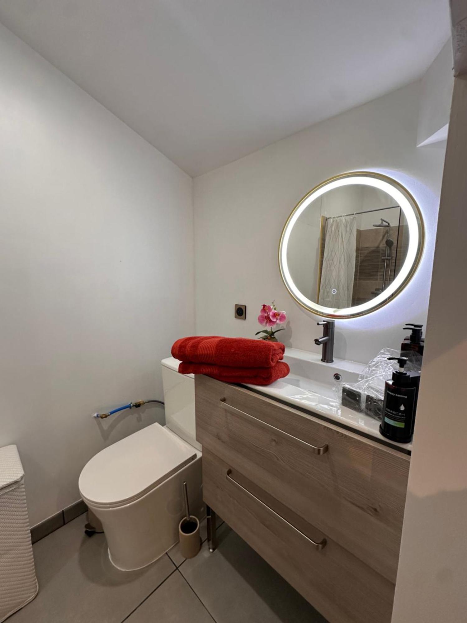 Les Appartements Du Palais Carcassonne Eksteriør bilde
